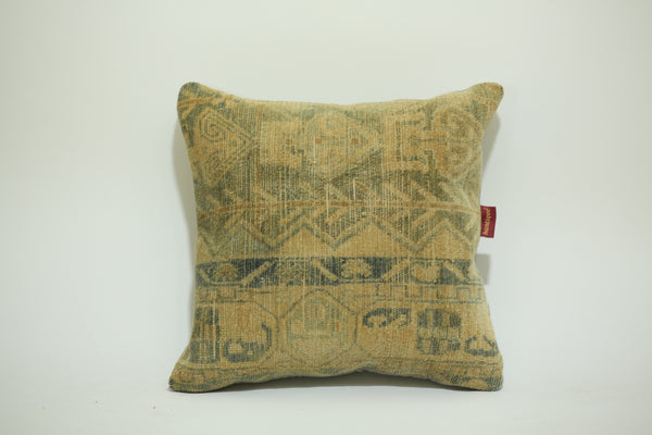 Anatolian Vintage Rug Pillow Case 20-20 inch